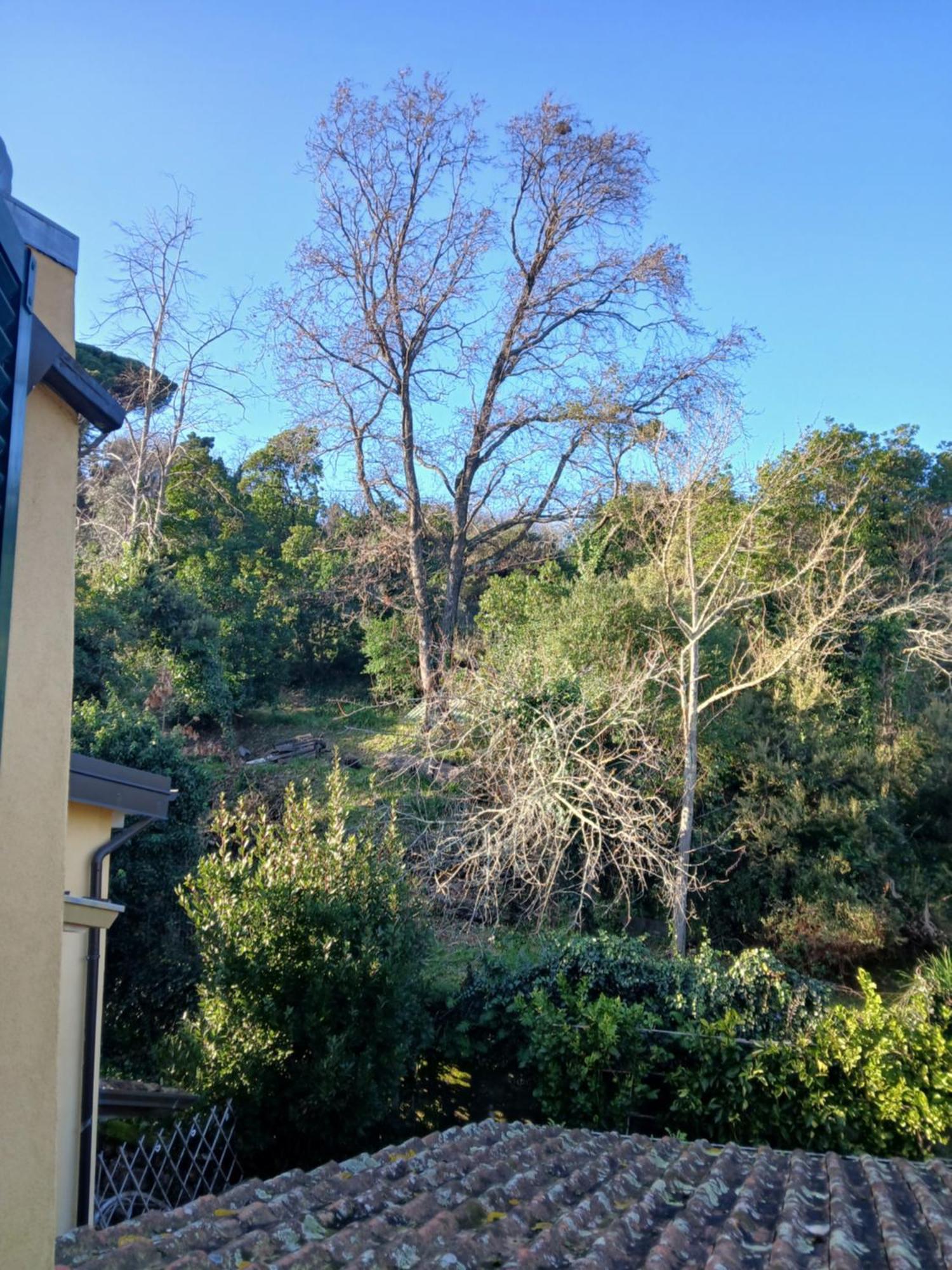 Casa Misha Tra 5 Terre E Versilia Bocca di Magra Екстериор снимка
