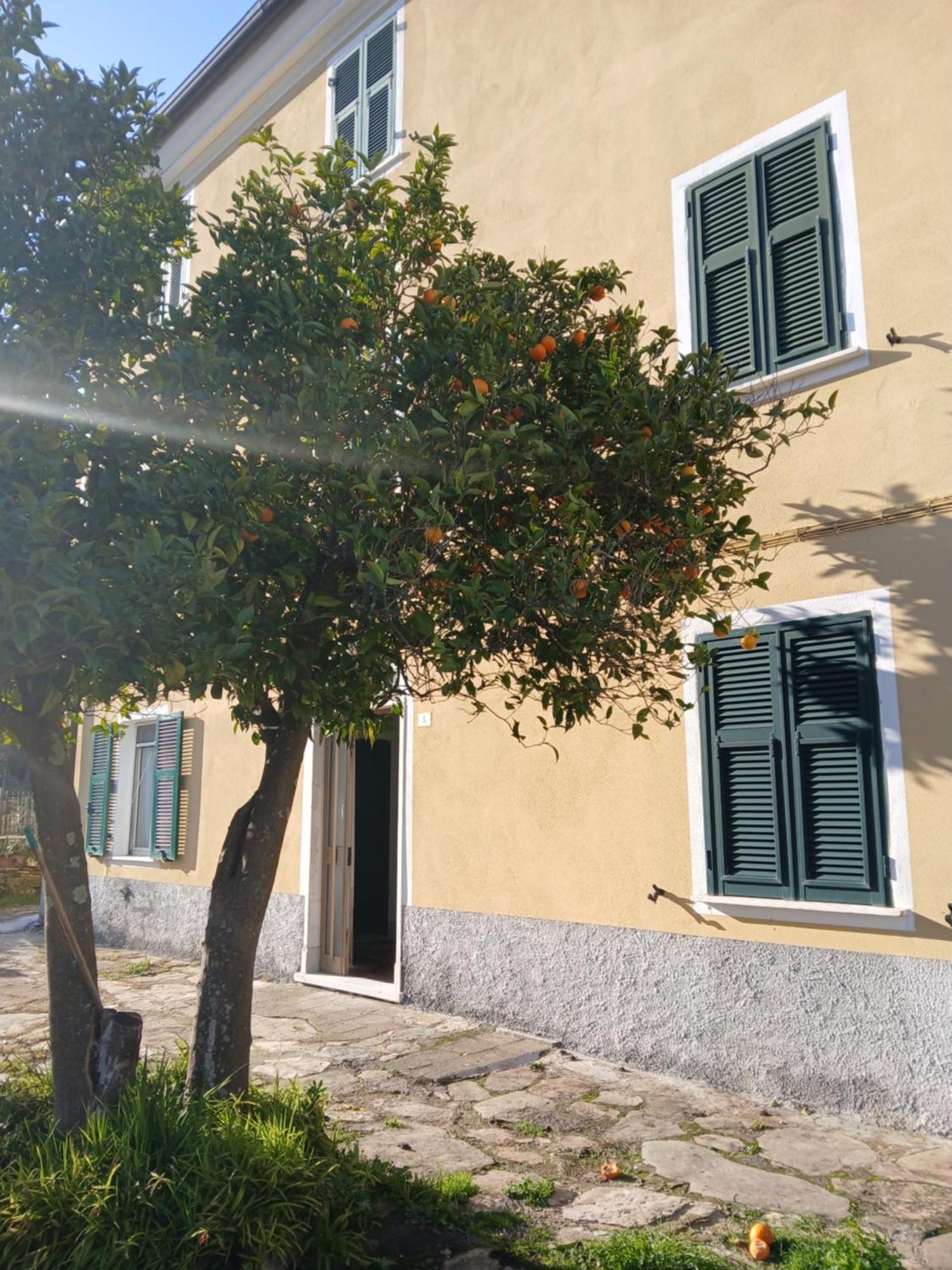Casa Misha Tra 5 Terre E Versilia Bocca di Magra Екстериор снимка